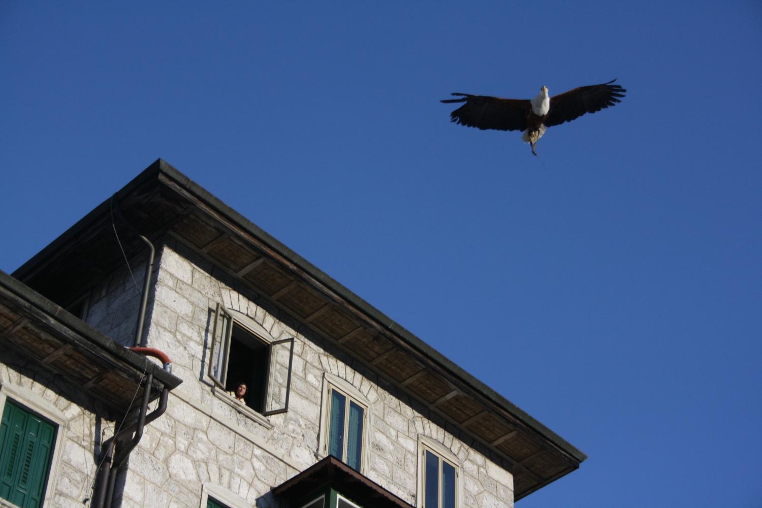 Th Borca Di Cadore - Park Hotel Des Dolomites Εξωτερικό φωτογραφία