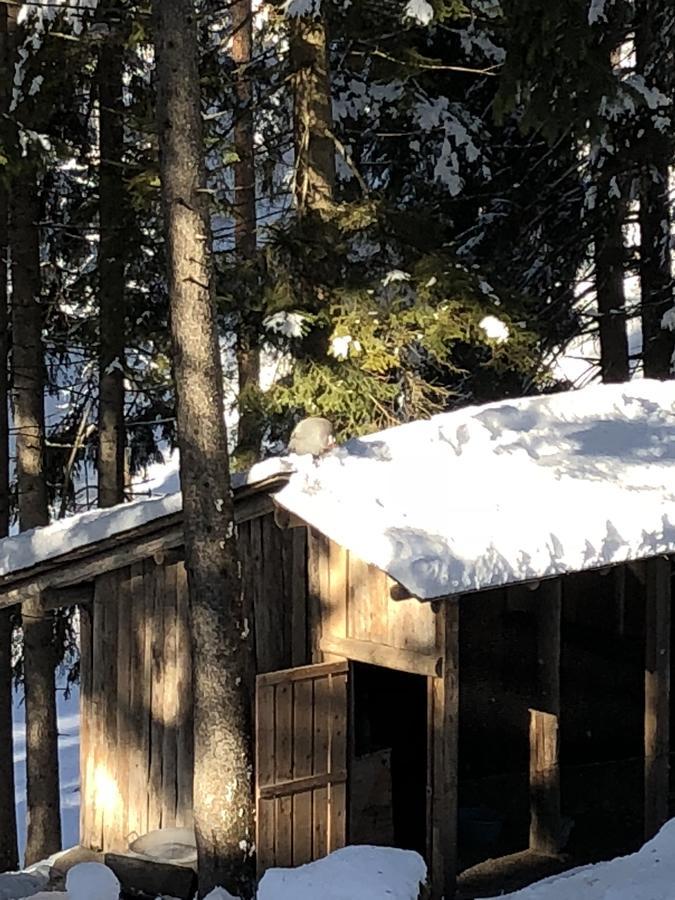 Th Borca Di Cadore - Park Hotel Des Dolomites Εξωτερικό φωτογραφία