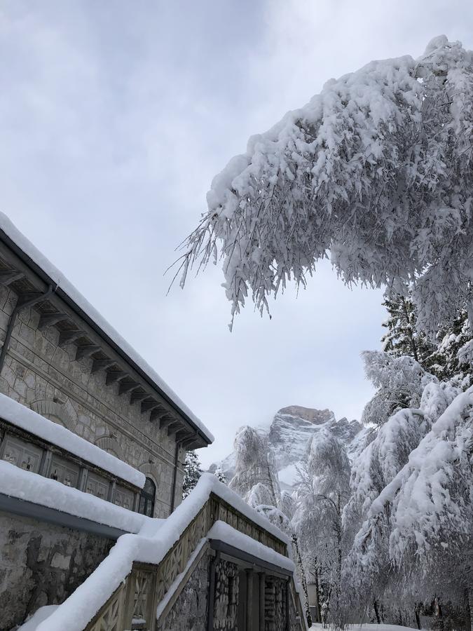Th Borca Di Cadore - Park Hotel Des Dolomites Εξωτερικό φωτογραφία